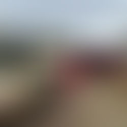 Tembo Lodge: En autentisk reise inn i hjertet av masaikulturen