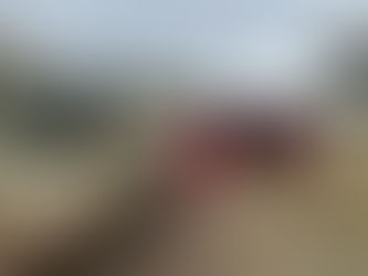 Tembo Lodge: En autentisk reise inn i hjertet av masaikulturen