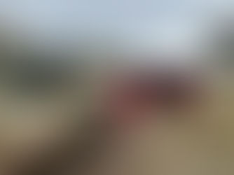 Tembo Lodge: En autentisk reise inn i hjertet av masaikulturen