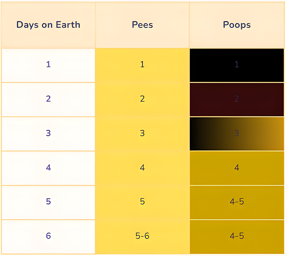 Three-column chart titled Days on Earth, Pees, and Poops, with rows 1-6 and yellow-to-black color blocks.