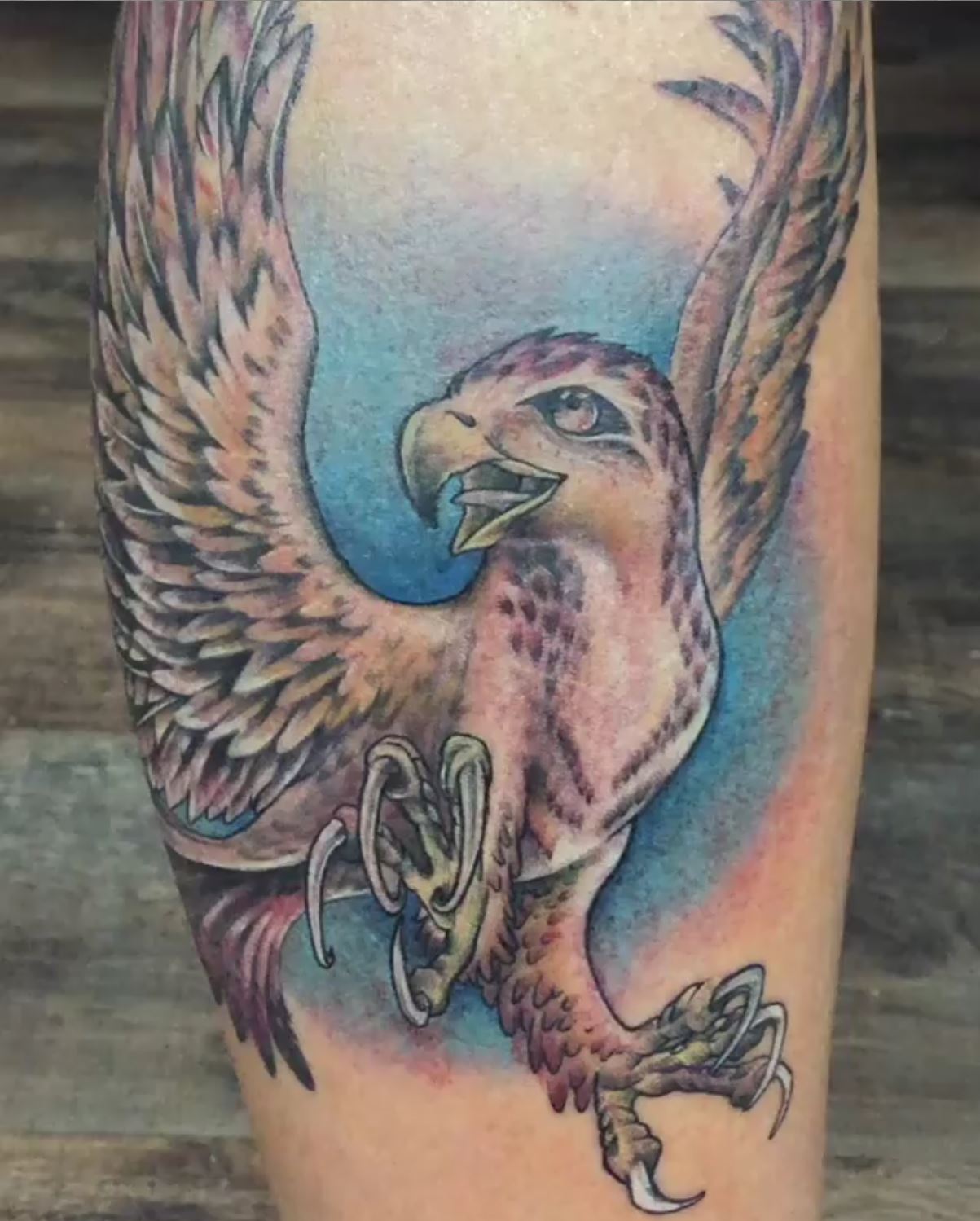 Red tail hawk