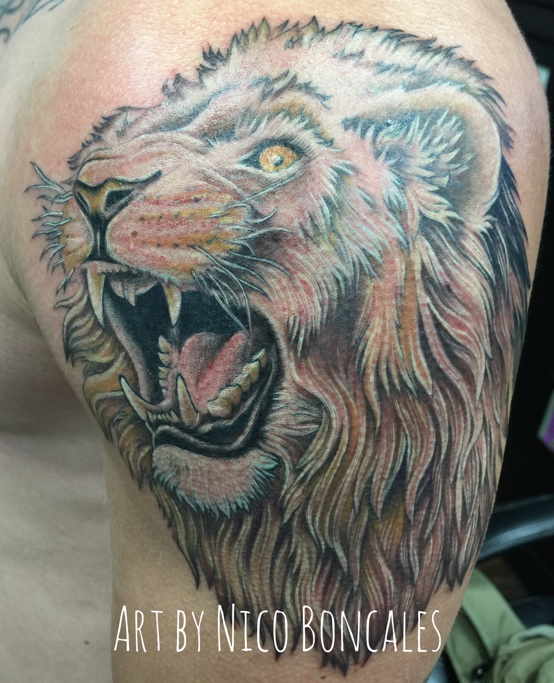 lion color tattoo