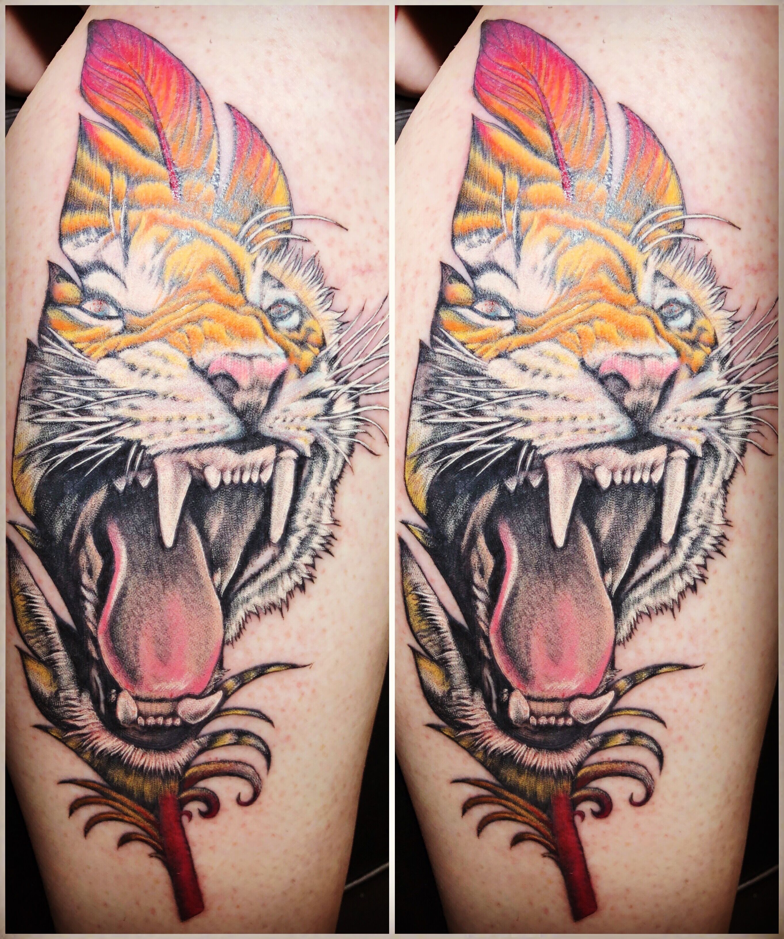tiger feather