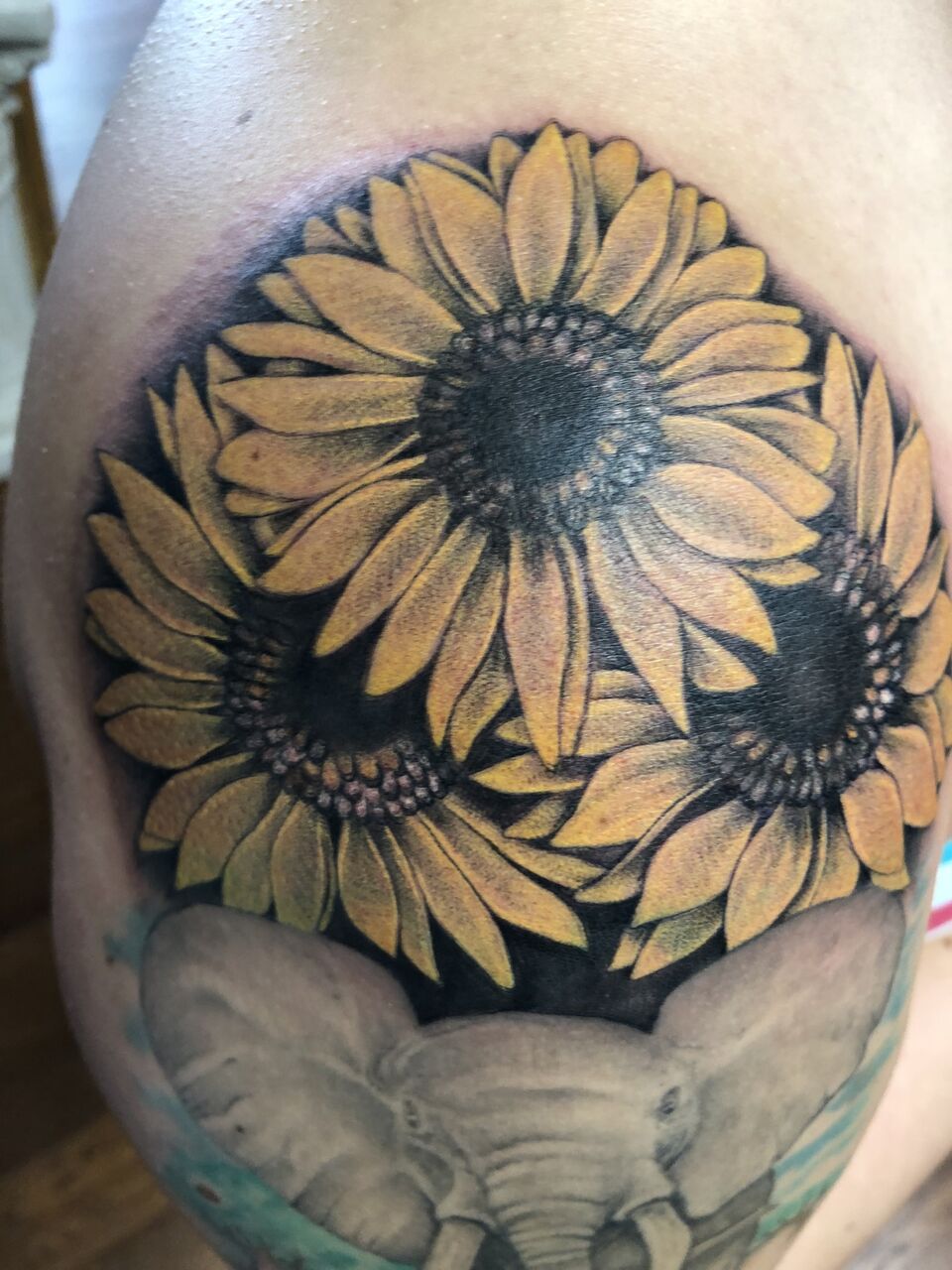 sunflowers with elephant
