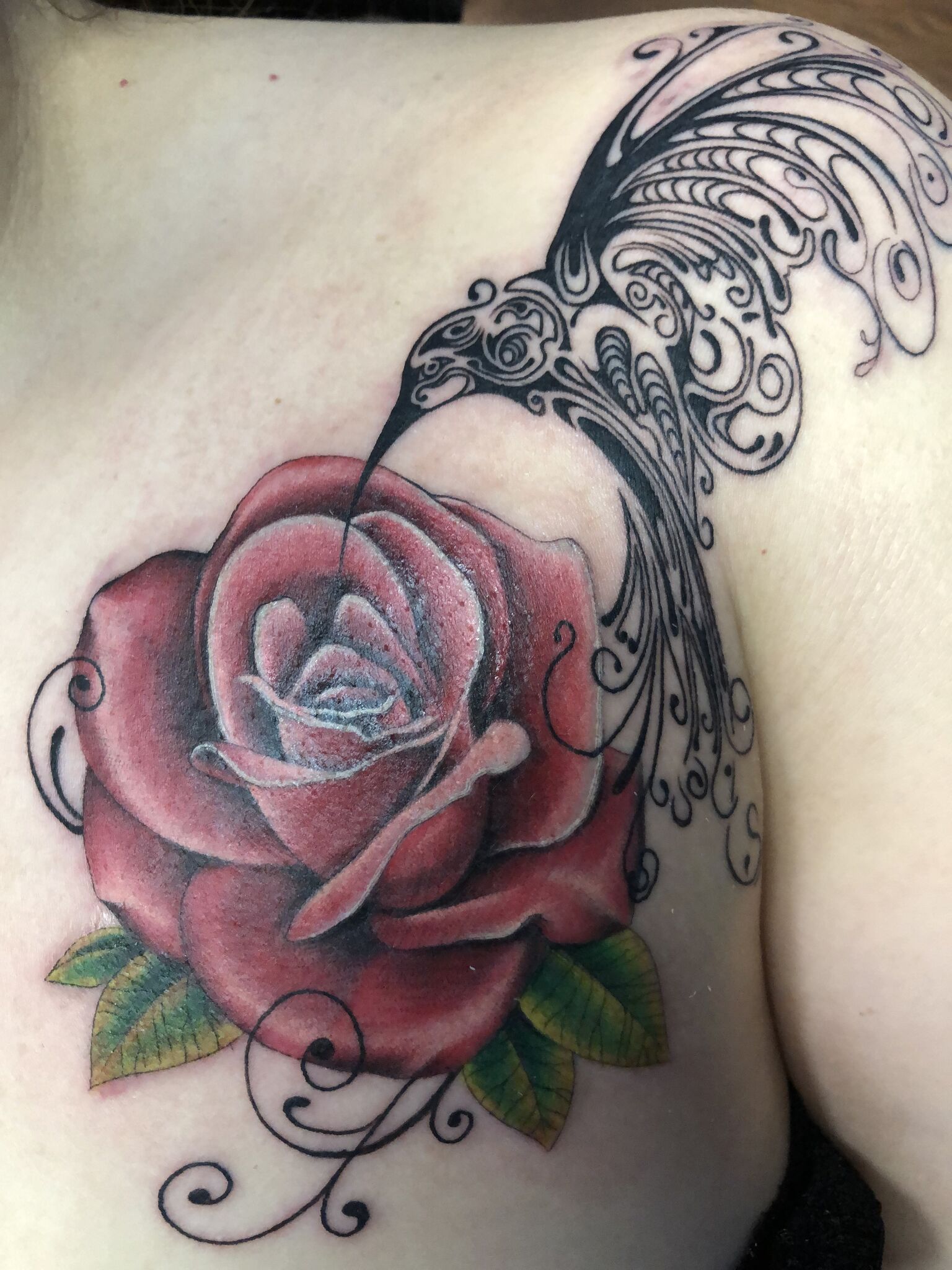 humming bird with rose