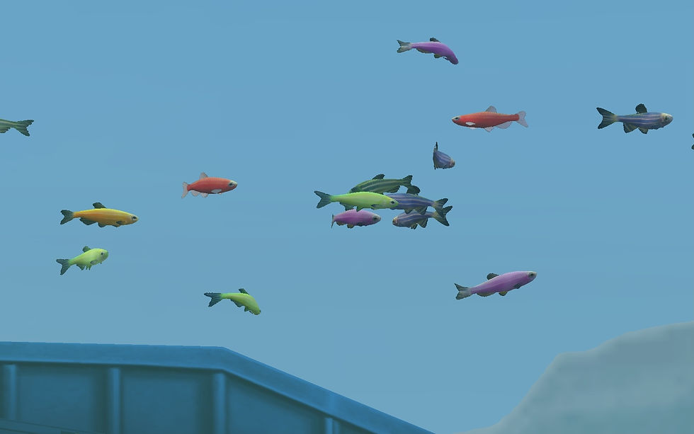 Danio.jpg