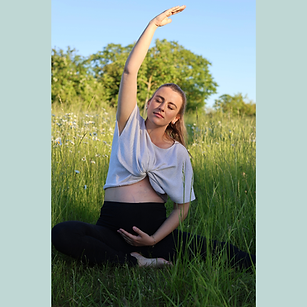 hansefit Mitglied - Yogahome.png