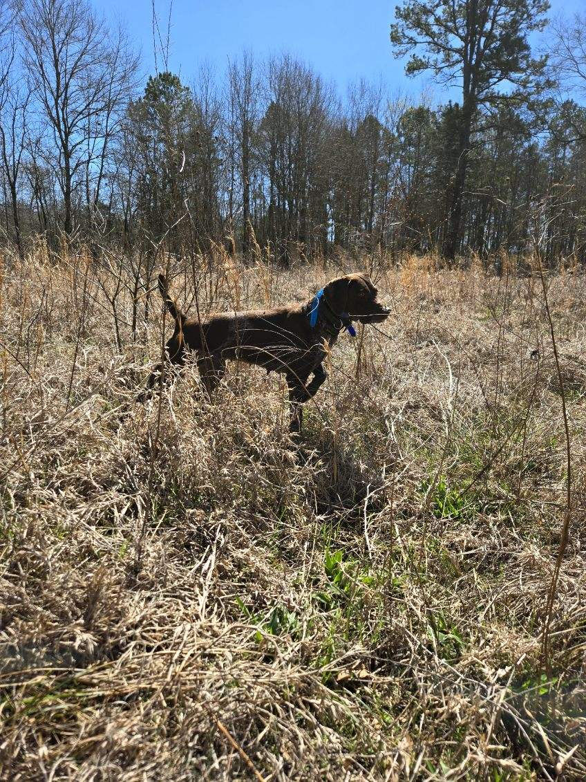 PW That Was Then This Is Now "Nova"