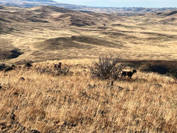 Idaho Ranch Summer Camp 2025