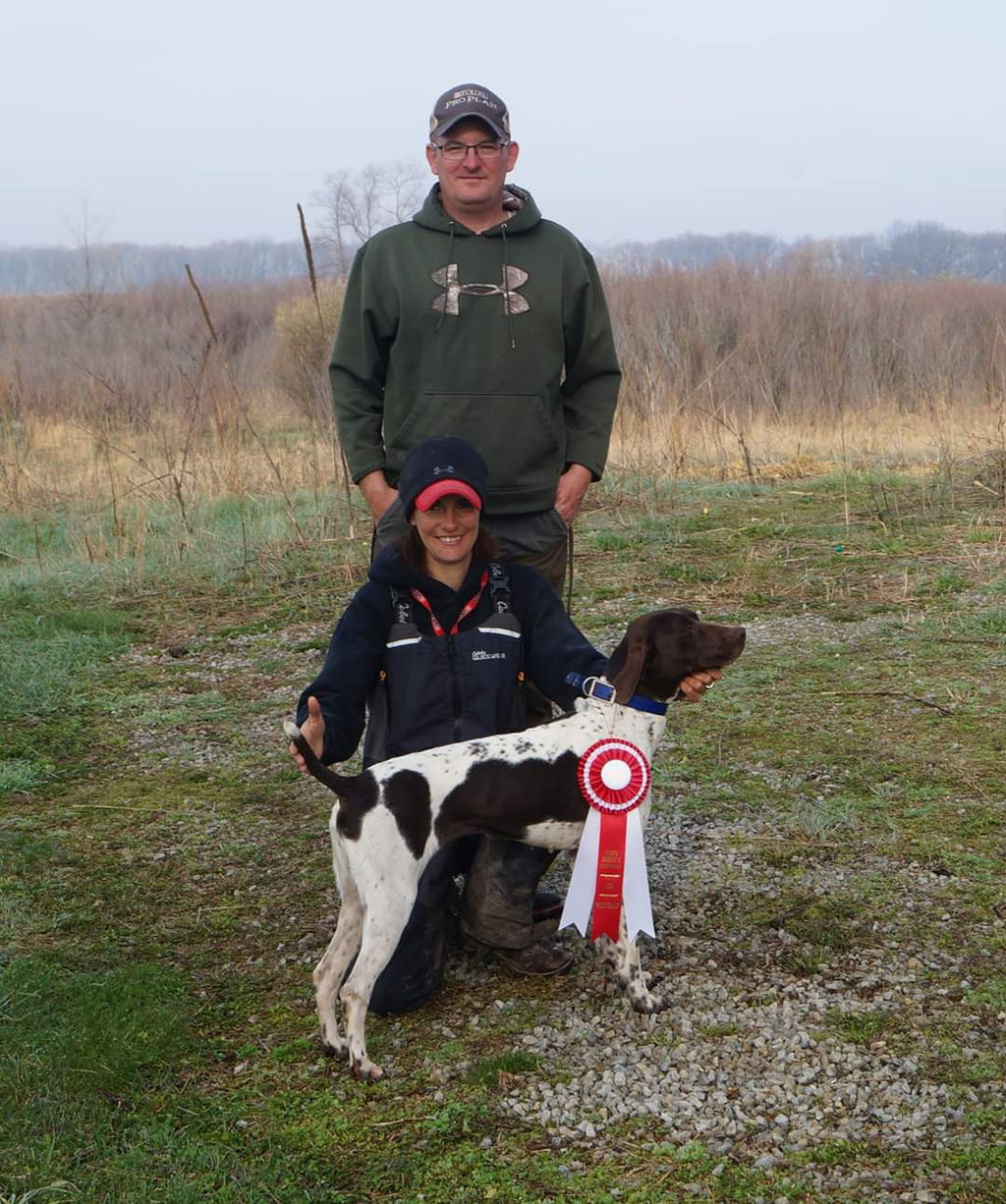 Prairie Wind GSPs German Shorthaired Pointer Wyoming