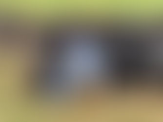 Was mich Mongolische Hirten über dezentrale Entscheidungsfindung lehrten