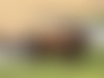 Lieferketten zu Pferd: Lektionen in Resilienz aus der Steppe