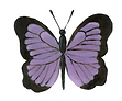 a6 fluture_edited.png