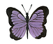 a6 fluture_edited.png