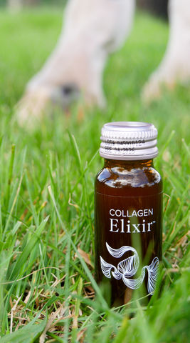 Collagen Elixir supplement voor paarden, vloeibaar collageen ter ondersteuning van bindweefsel.