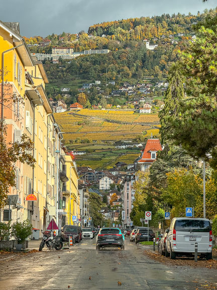 Street view with buildings and hillside in background.
