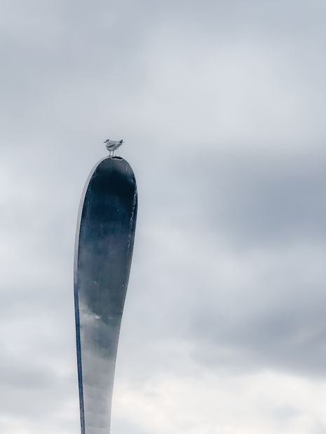 Seagull perched on a metallic structure tip.