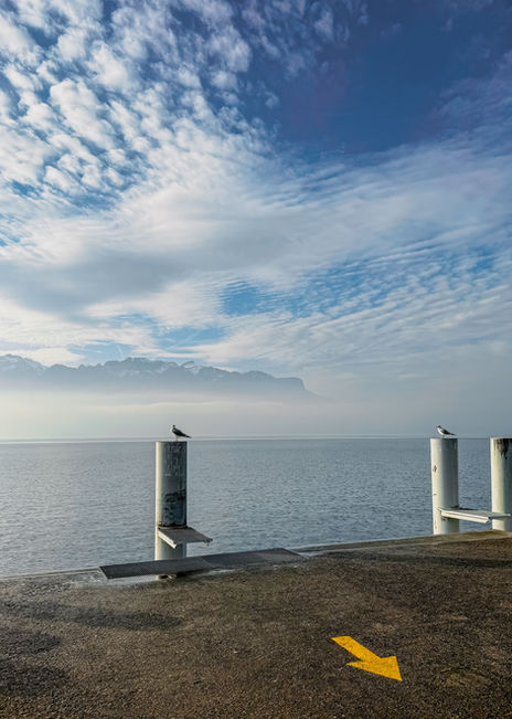 Calm pier with a bird and cloudy sky.