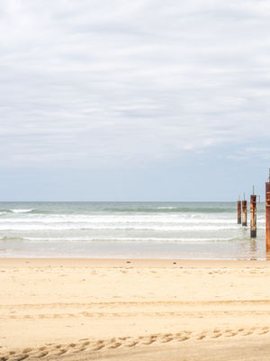 Beach with wooden posts and cloudy sky.