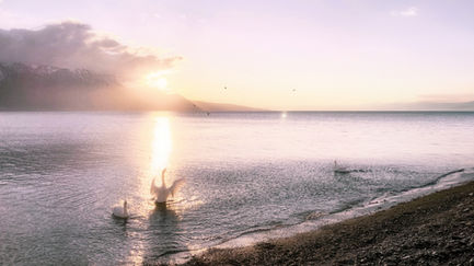 Sunset over calm beach with gentle waves.