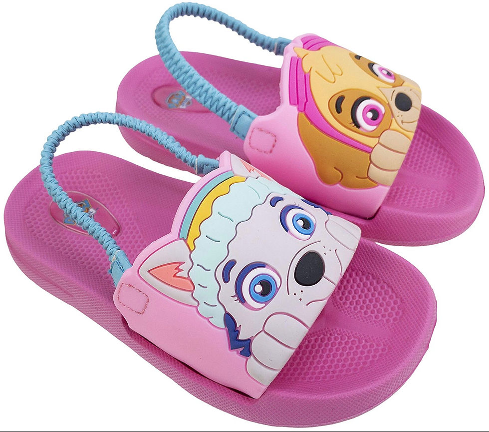 Paw Patrol Toddler Slides