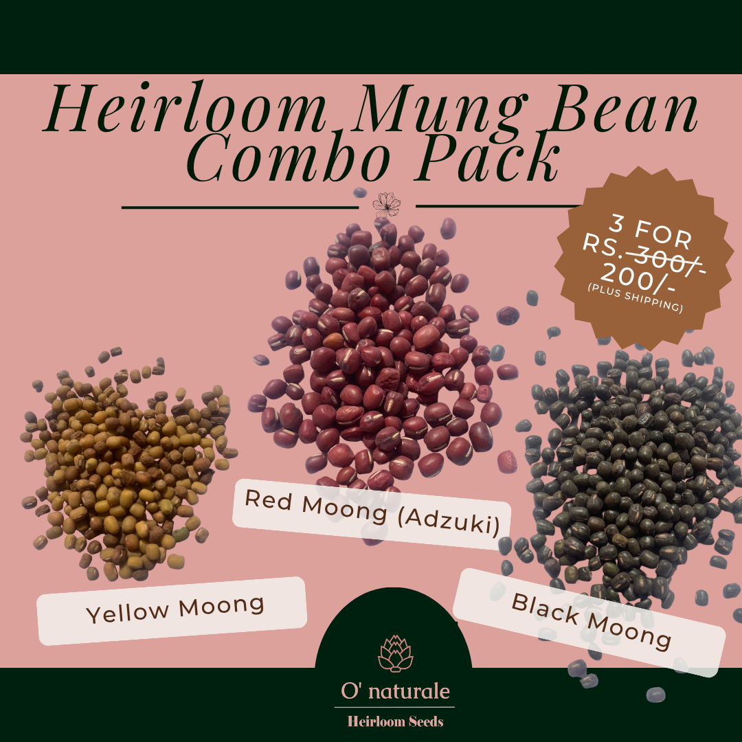 Heirloom Mung Bean Combo Pack