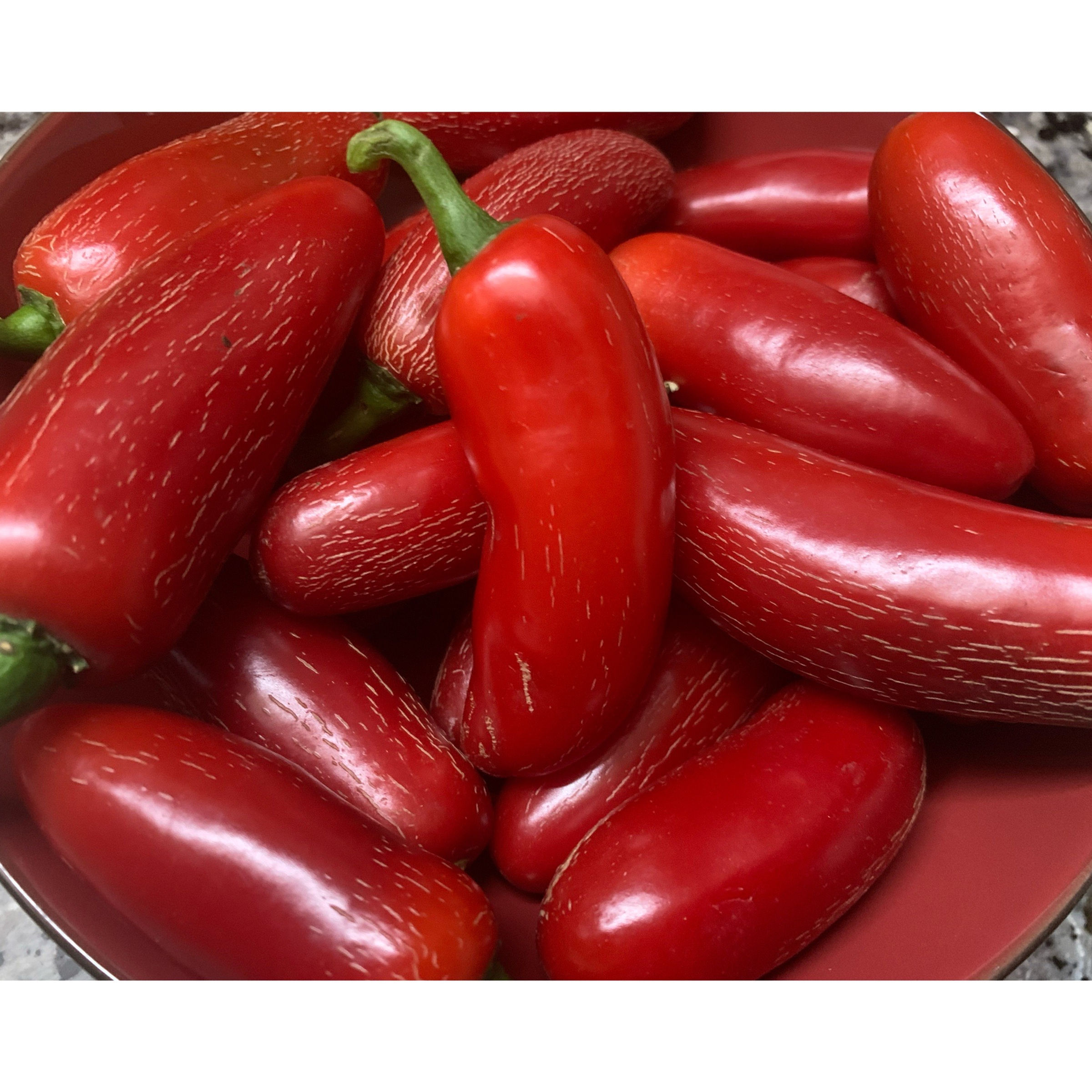 Jalapeno (Red)