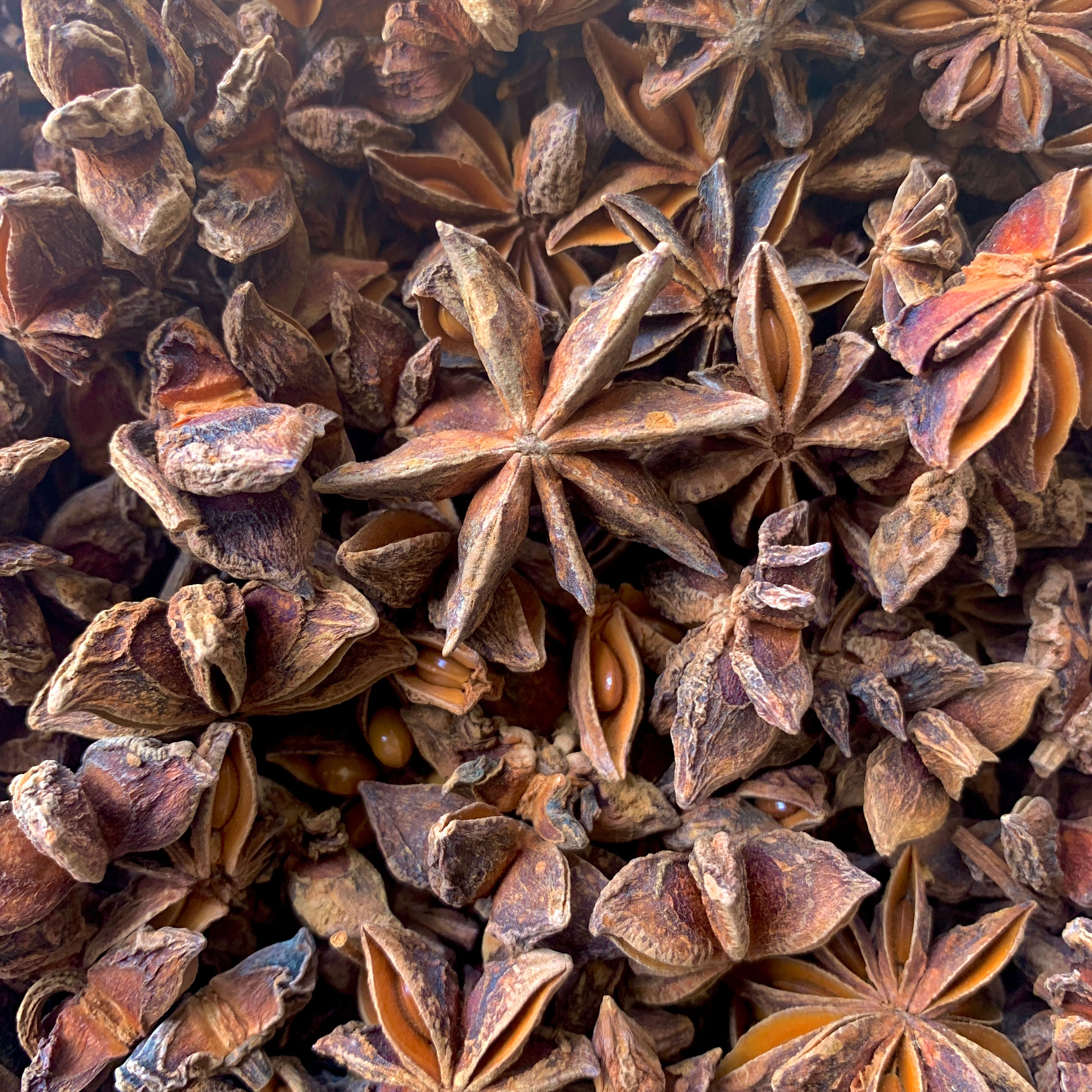 Forest-Grown Star Anise