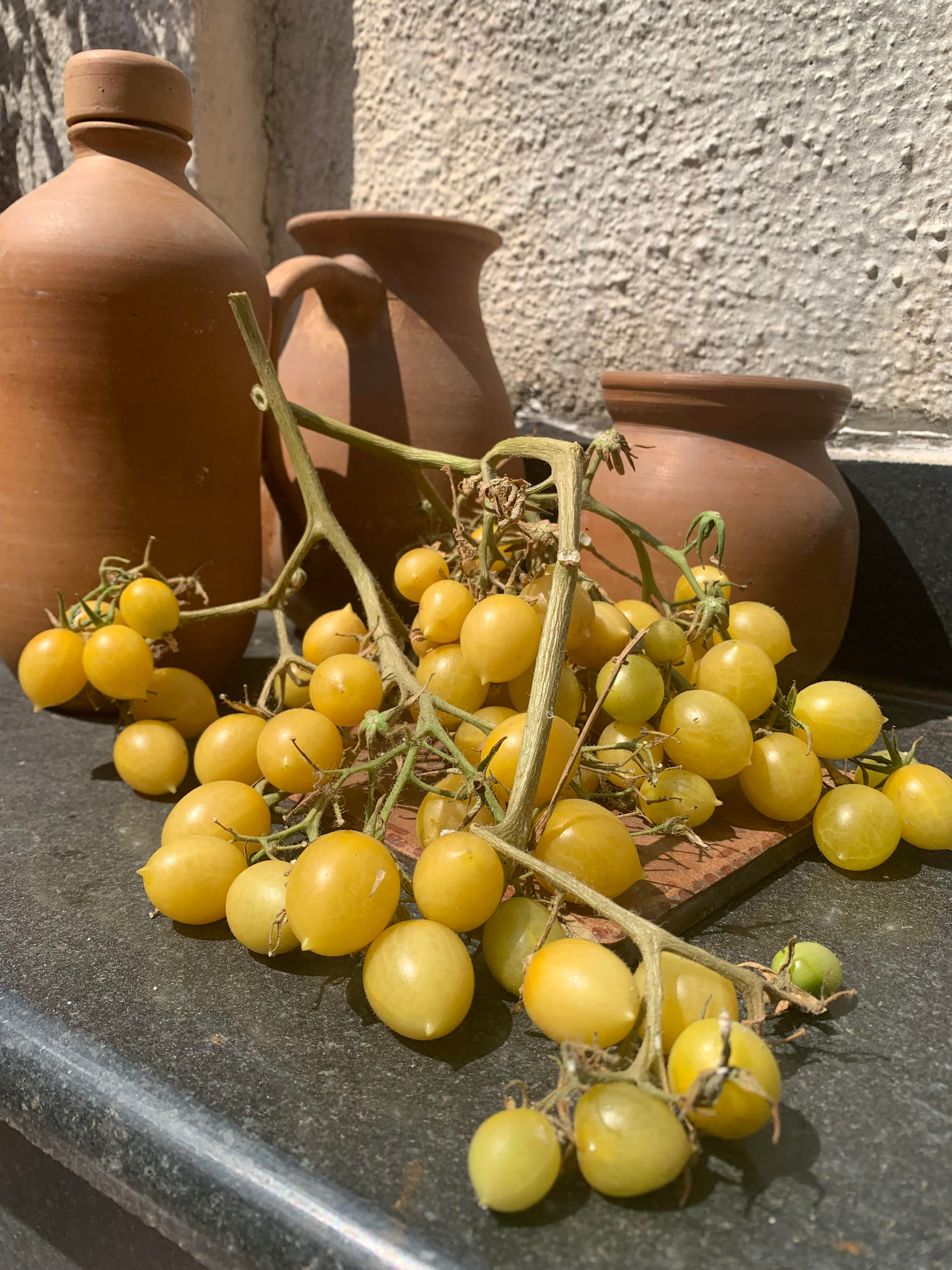 Barry's Crazy Cherry Tomato