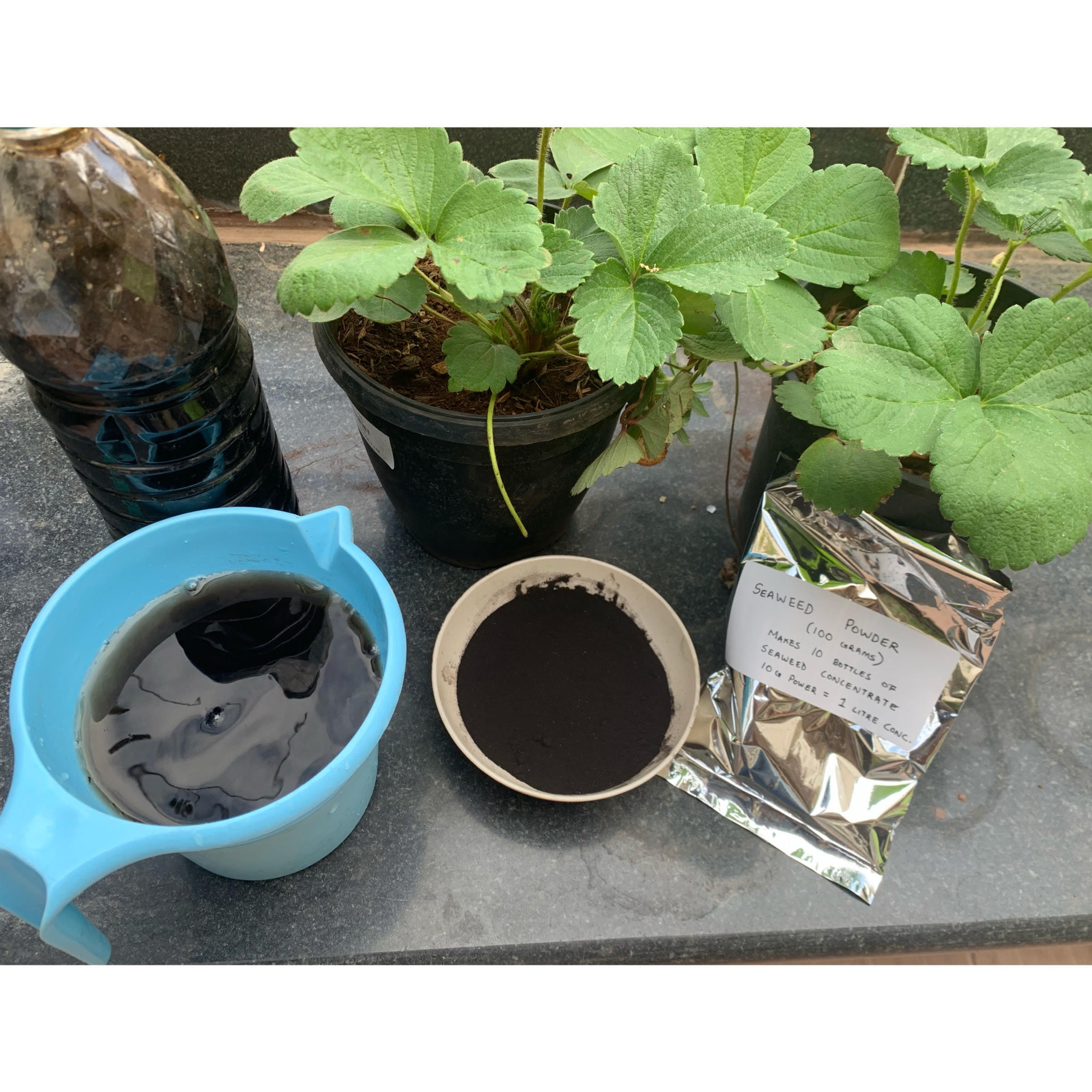 Seaweed Powder (400g)