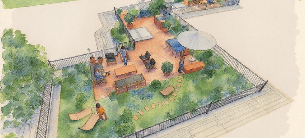 dessin rooftop quercifolia creation de jardin