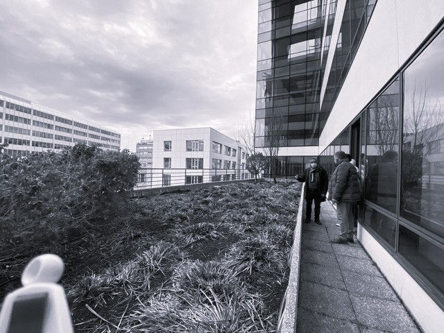 Terrasse co-working
