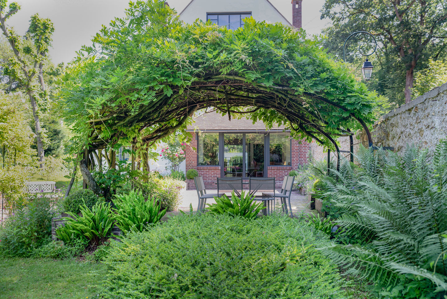jardin annee30 glycine centenaire