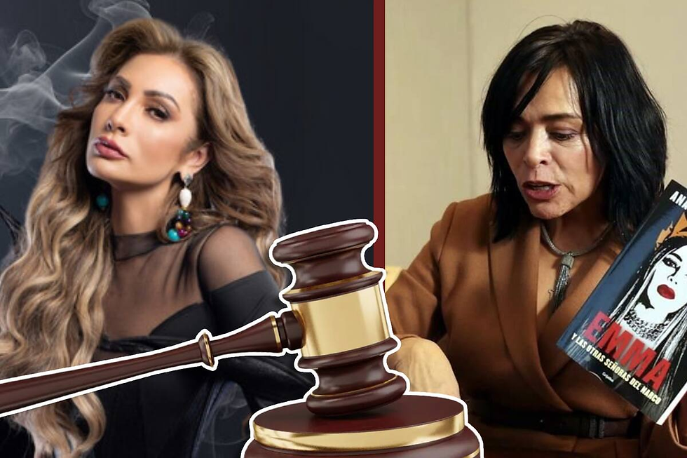 Paty Navidad denunció que Anabel Hernández afectó su imagen y le generó señalamientos públicos durante los últimos dos años.