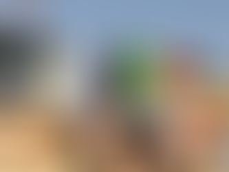 El ejército de Israel ahora intercepta embarcaciones de nueva flotilla que iba a Gaza