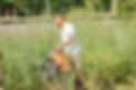 DSC01311-3.jpg