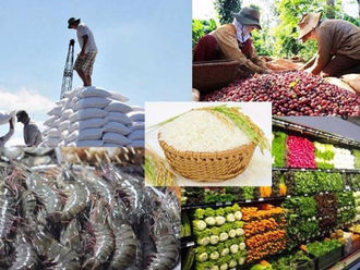 Vietnam’s agro-forestry-fishery exports in 2022 grow 9.3%