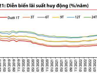 VDSC: Ngân hàng Nhà nước sẽ không tăng lãi suất điều hành trong năm 2023