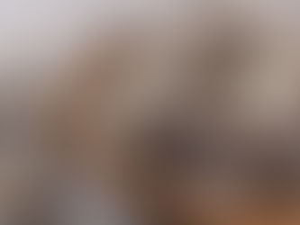 Xuất khẩu ngao tăng 22% trong tháng 2/2023