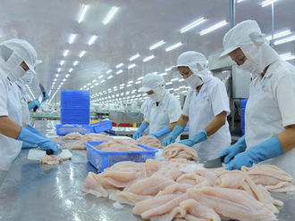 Sóc Trăng: Sản lượng tôm năm 2022 đạt 353 nghìn tấn