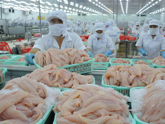 Why is the export of deep-processed pangasius only 2%?