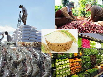 Cơ hội rộng mở cho nông thủy sản Việt Nam
