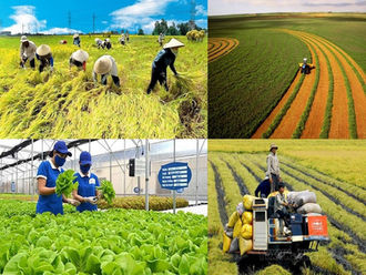 Agro-forestry-fishery exports will reach the target of US$54 billion in 2023