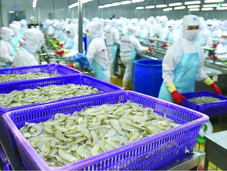 Seafood enterprises have more opportunities to expand their market share in China