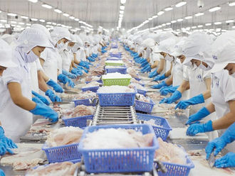 Large space for the fisheries industry in the Mekong Delta
