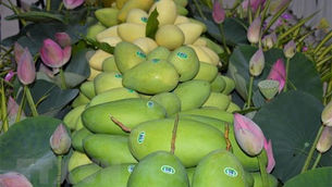 Dong Thap’s exports post record high growth in 2022