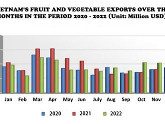 Fruit & vegetable exports in 2022 reached the destination with a total value of almost $3.4 billion