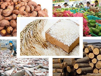 Agricultural, forestry, and aquatic product exports for 2022 are forecast to reach 53 billion USD
