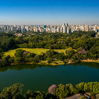 Vila Mariana: o bairro de São Paulo que mistura história, cultura, gastronomia e qualidade de vida