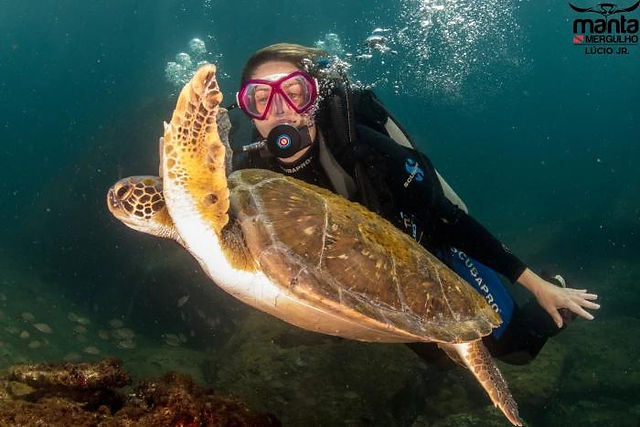 Mergulhador mergulhando com uma tartaruga marinha 